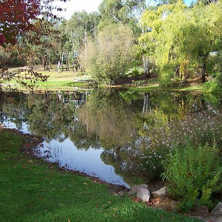 Granite Gardens Cottages & Lake Retreat Stanthorpe Exterior photo