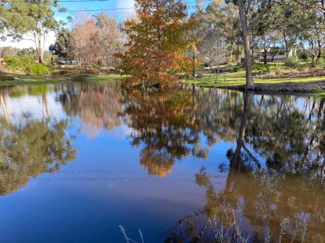 Granite Gardens Cottages & Lake Retreat Stanthorpe Exterior photo