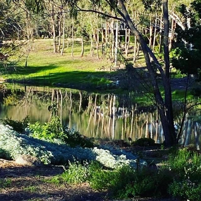 Granite Gardens Cottages & Lake Retreat Stanthorpe Exterior photo