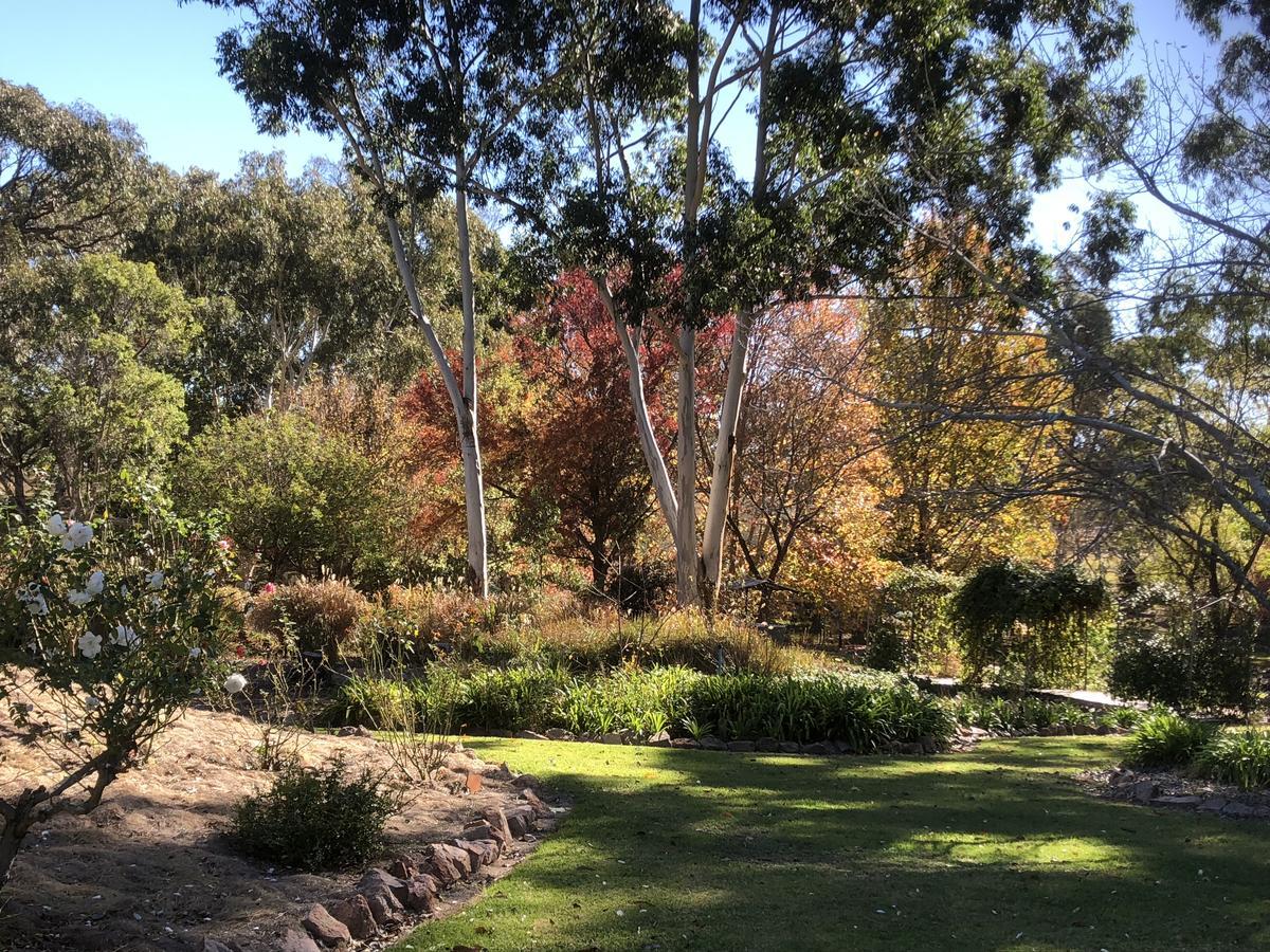 Granite Gardens Cottages & Lake Retreat Stanthorpe Exterior photo